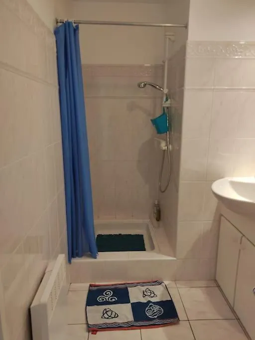 Appartement Avec Piscine Proche Thalasso Et Plages Carnac Frankrijk